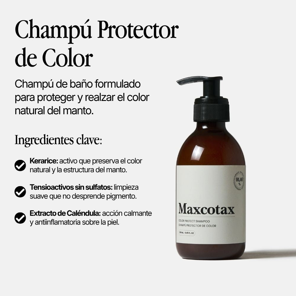 Champú Protector de Color