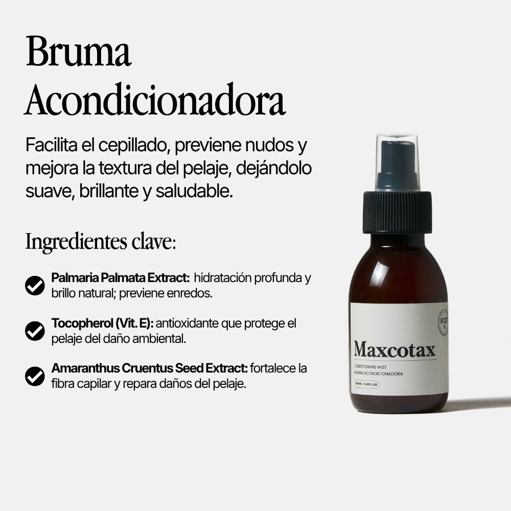 Bruma Acondicionadora